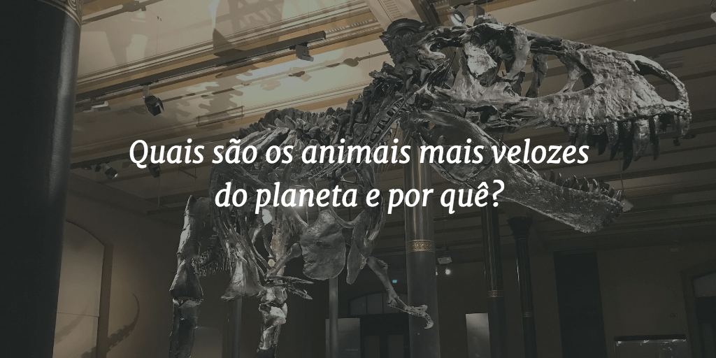 Capa do post com o título "Quais são os animais mais velozes do planeta e por quê?" e um esqueleto de T-Rex ao fundo.