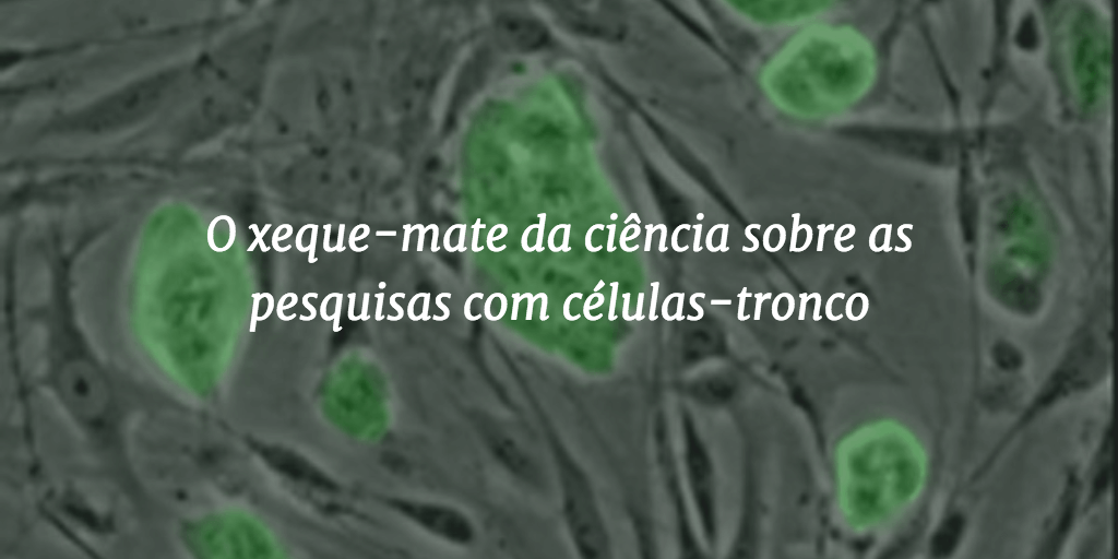 Imagem de capa do post com o título "O xeque-mate da ciência sobre as pesquisas com células-tronco" e células-tronco embrionárias de ratos ao fundo.