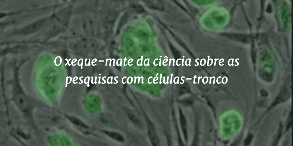 O xeque-mate da ciência sobre as pesquisas com células-tronco - Blog da  Ciência