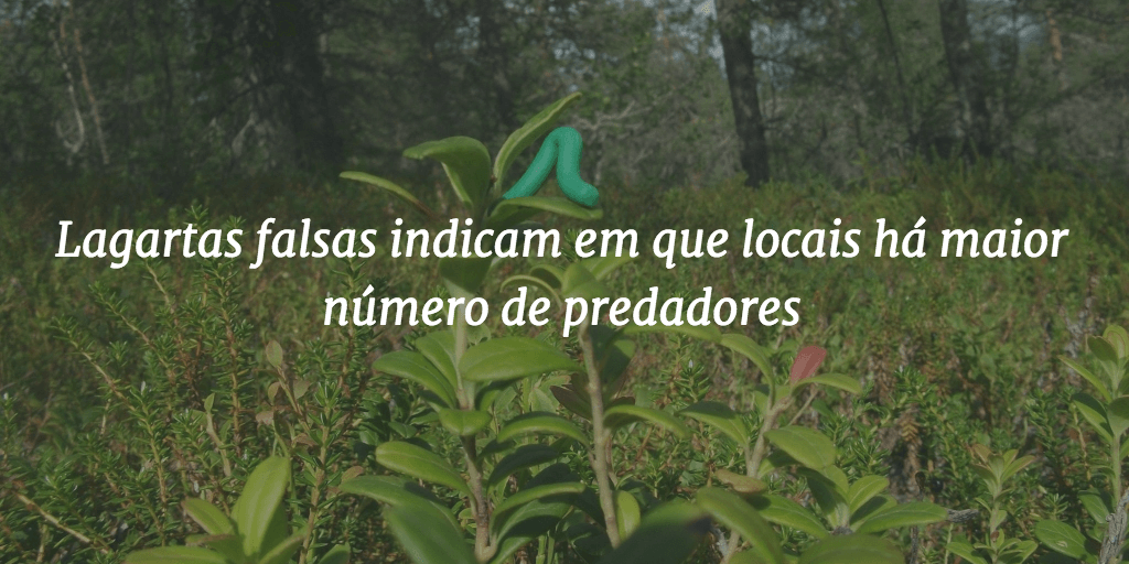 Capa do post com o título "Lagartas falsas indicam em que locais há maior número de predadores" e a imagem ao fundo de uma lagarta falsa sobre uma folha.