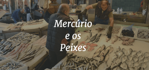 Capa do artigo escrito "Mercúrio e os Peixes" e com um mercado de peixes ao fundo.